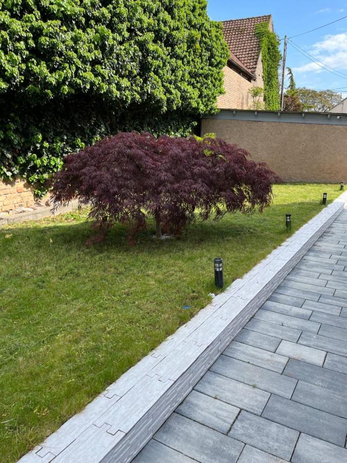 Logement De Charme - W&B House Dorlisheim Buitenkant foto