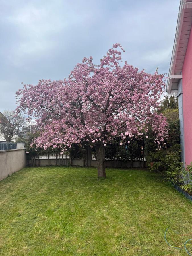 Logement De Charme - W&B House Dorlisheim Buitenkant foto